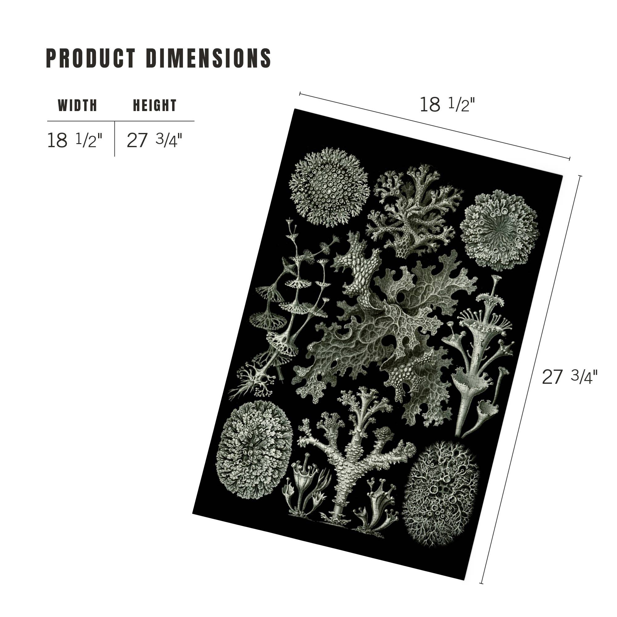 Art Forms in Nature: Lichen by Ernst Haeckel 1000 Piece Puzzle - Image 5