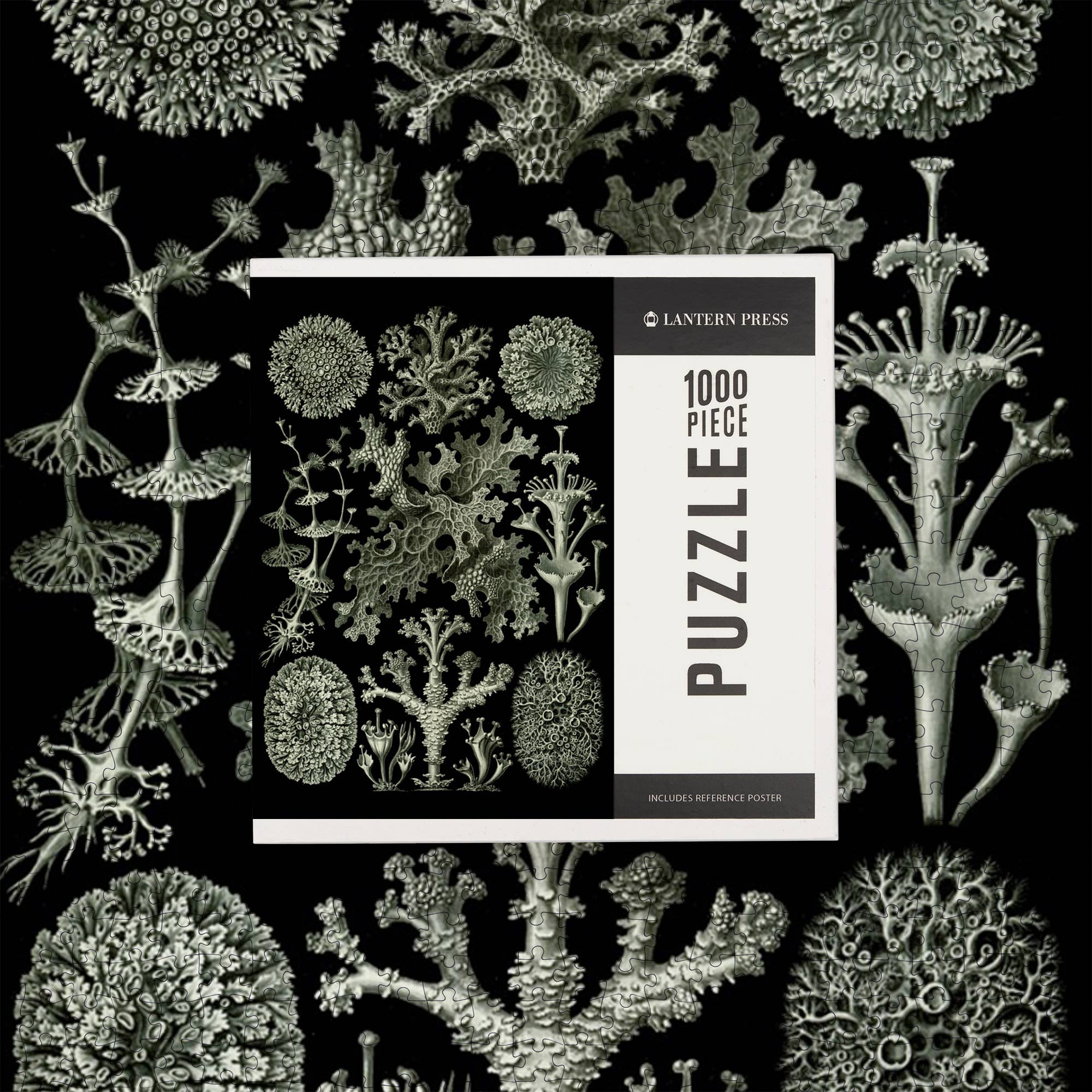 Art Forms in Nature: Lichen by Ernst Haeckel 1000 Piece Puzzle - Image 7