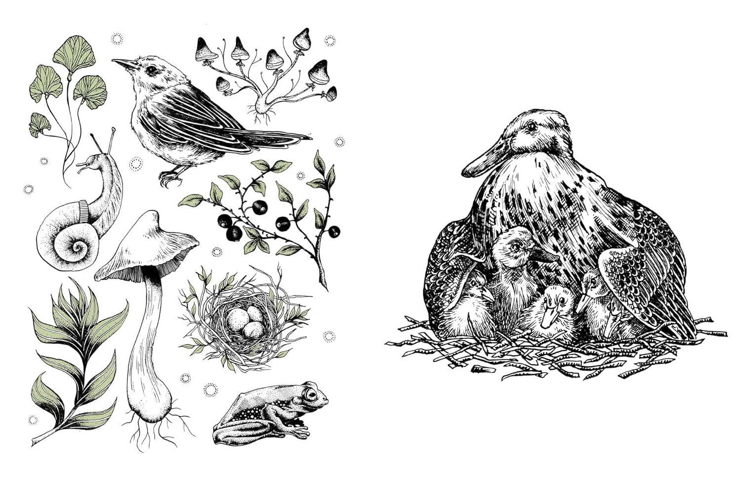 15-minute Art: Pen and Ink - Image 3