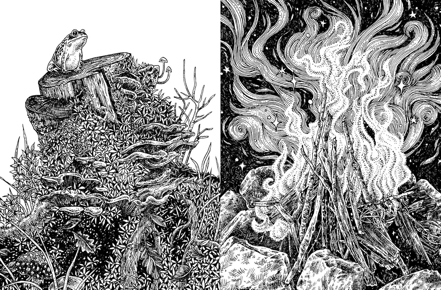 15-minute Art: Pen and Ink - Image 6
