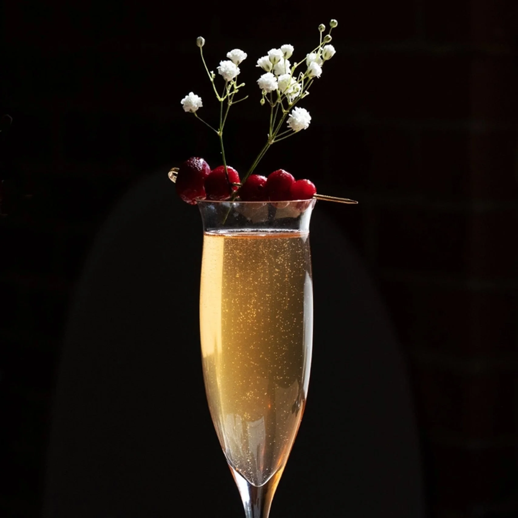 Holiday Cheer(s) Occasion Cocktail Infusion Pack - Image 5