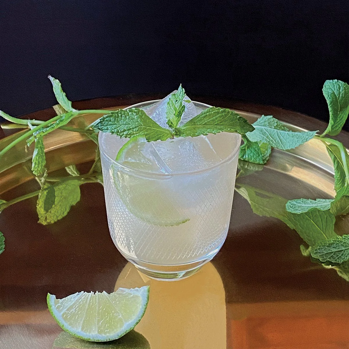 No-Muddle Mojito Infusion Pack - Image 4