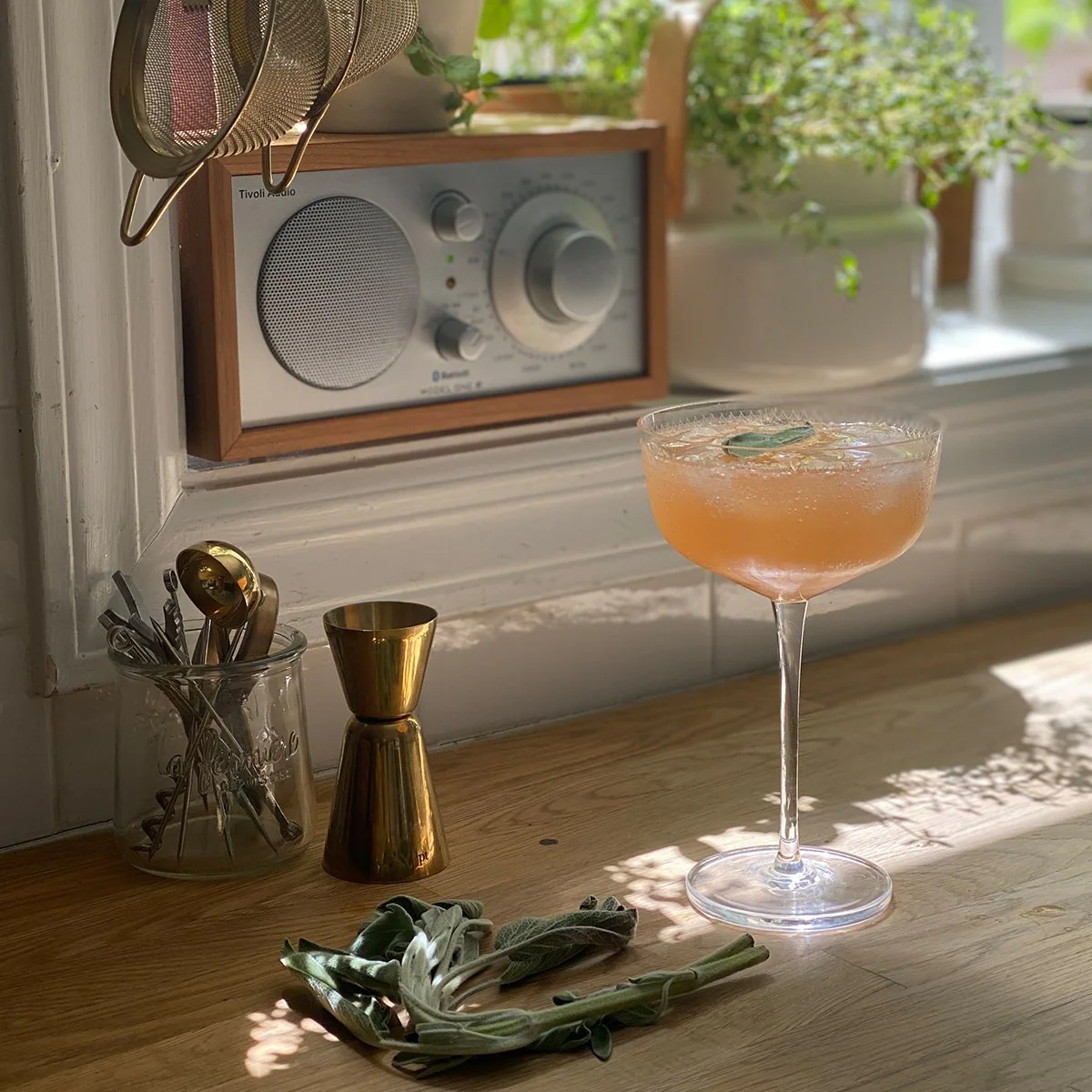 Rossa Mimosa Infusion Pack - Image 4