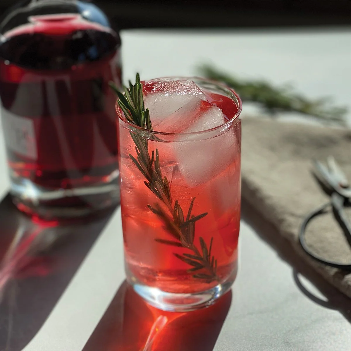 Rossamary Gin & Tonic Infusion Pack - Image 3