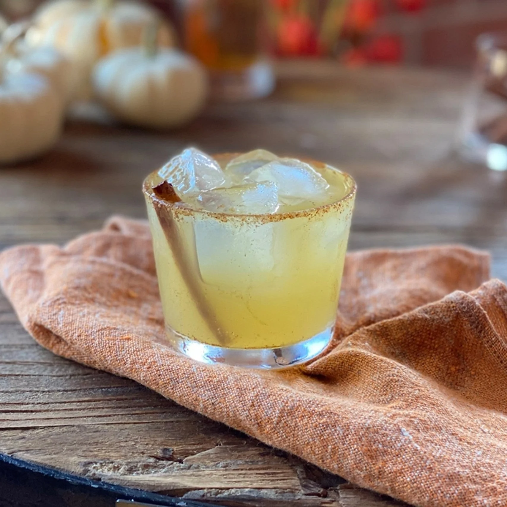 Toast(y) Fall Occasion Cocktail Infusions Pack - Image 7