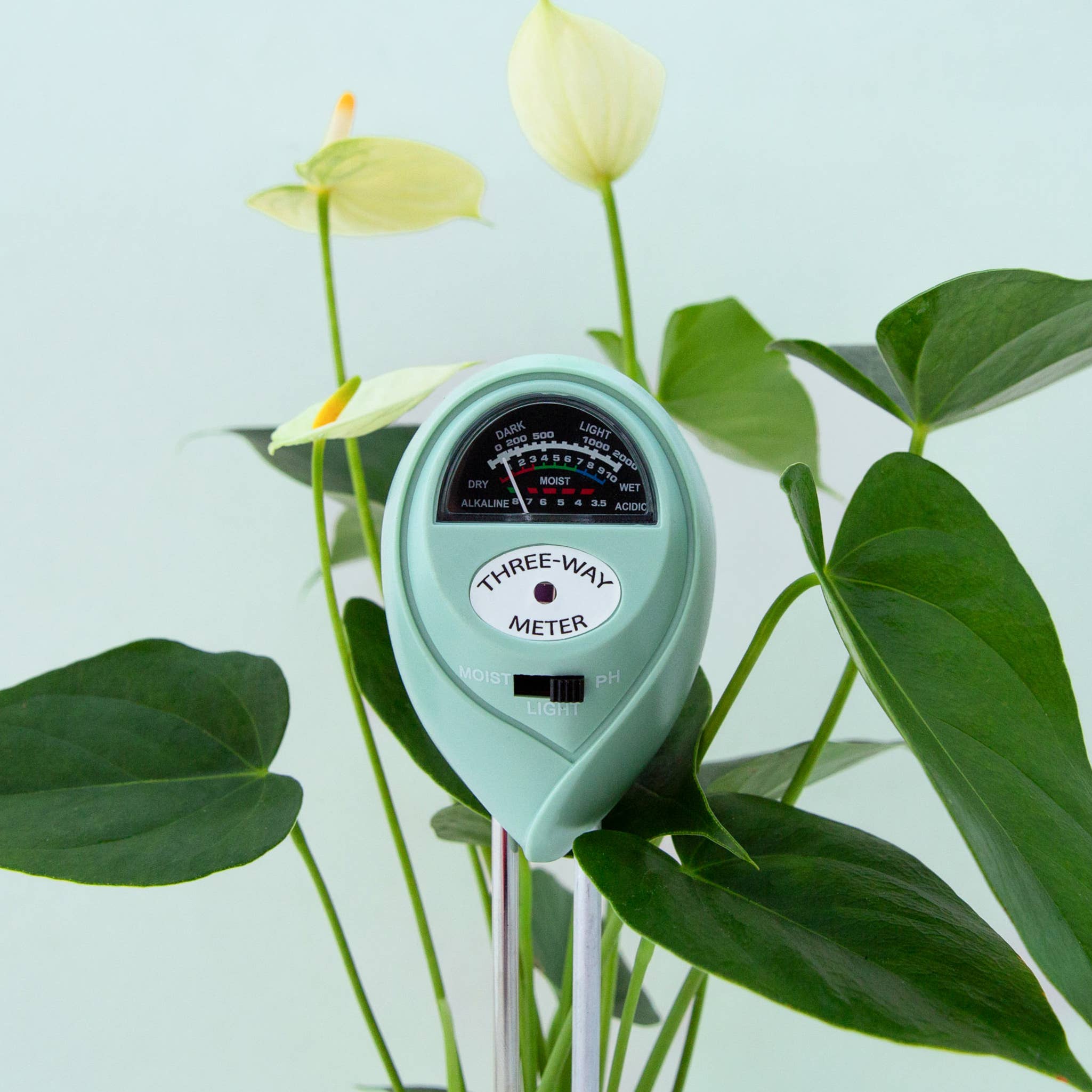 3-in-1 Moisture Meter: Lagoon - Image 2