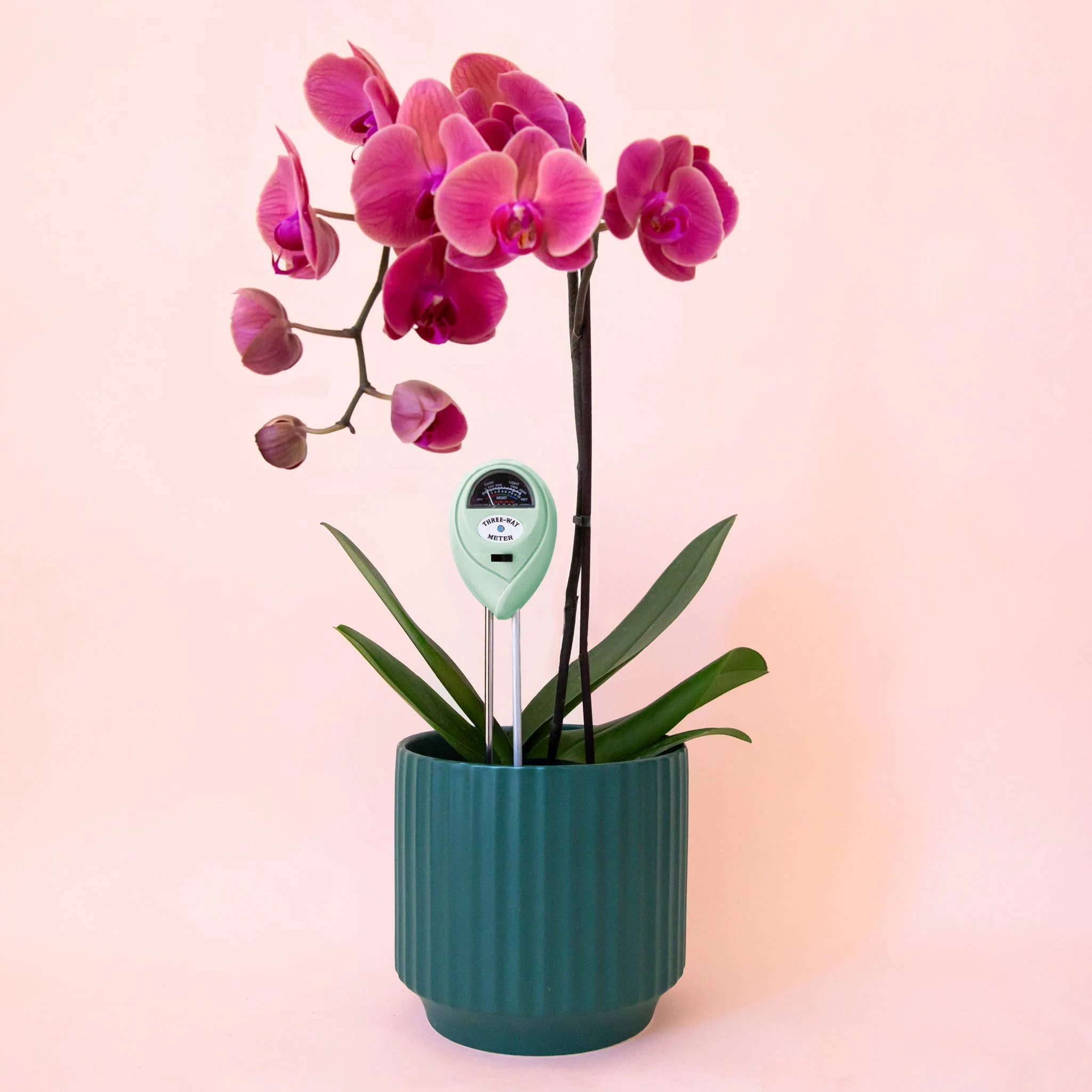 3-in-1 Moisture Meter: Lagoon - Image 3