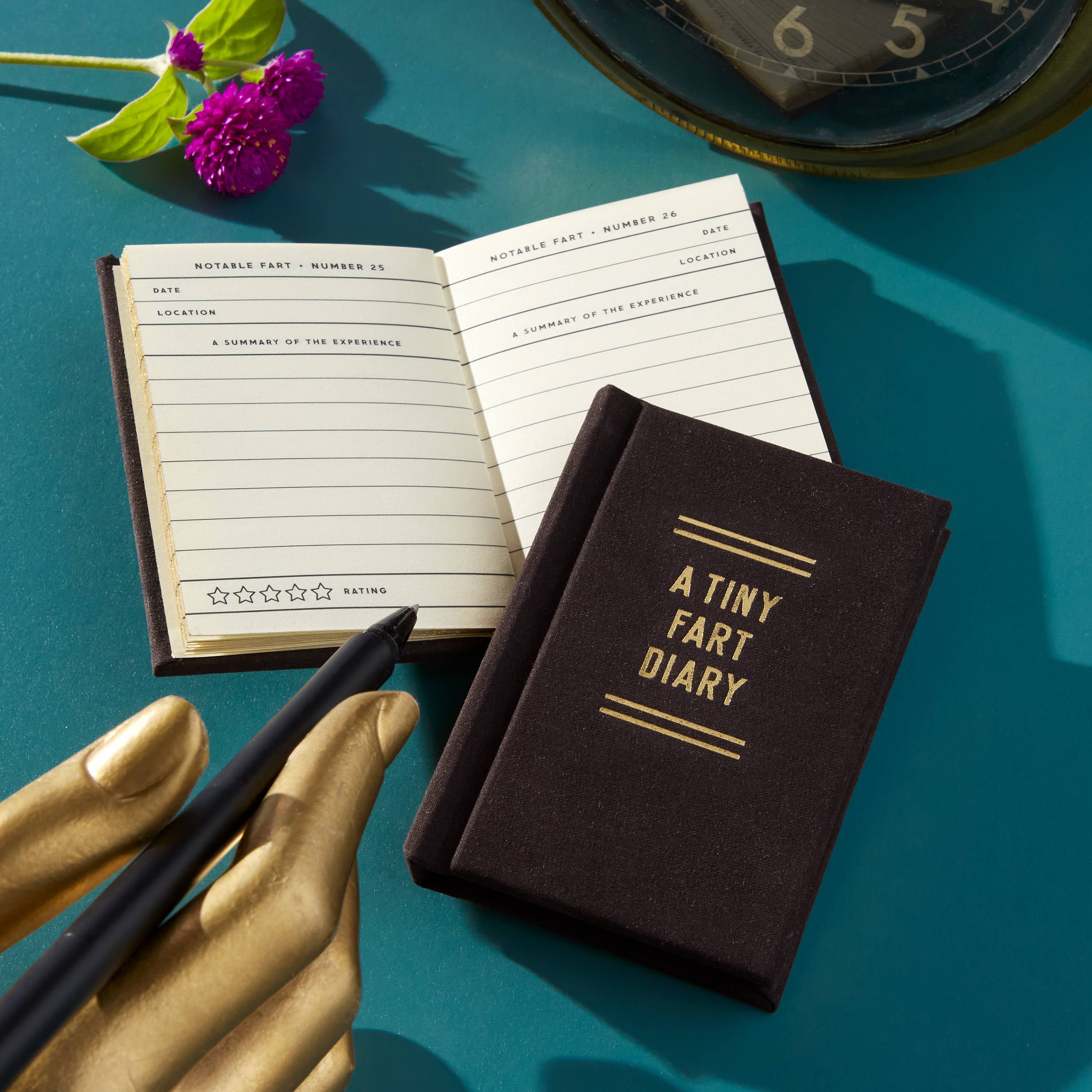 A Tiny Fart Diary - Image 2