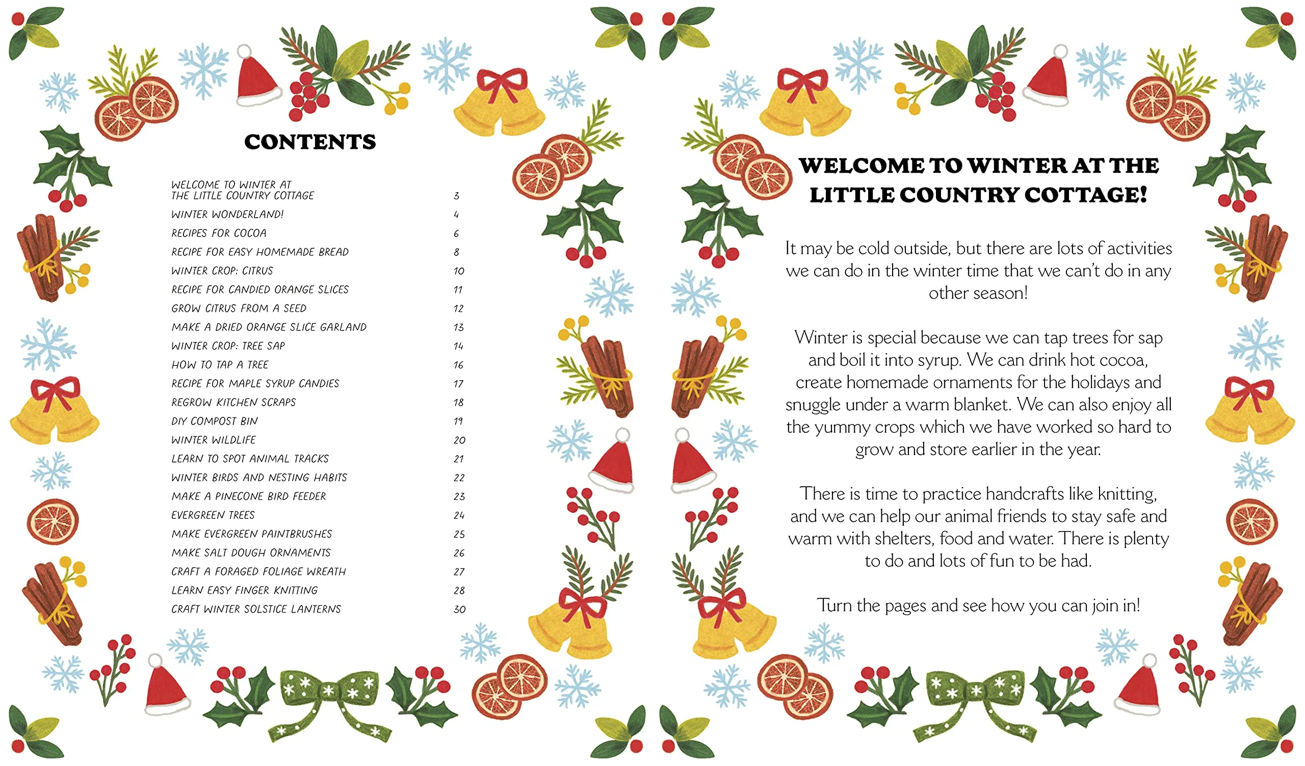 A Winter Treasury of Recipes, Crafts, and Wisdom - Image 2