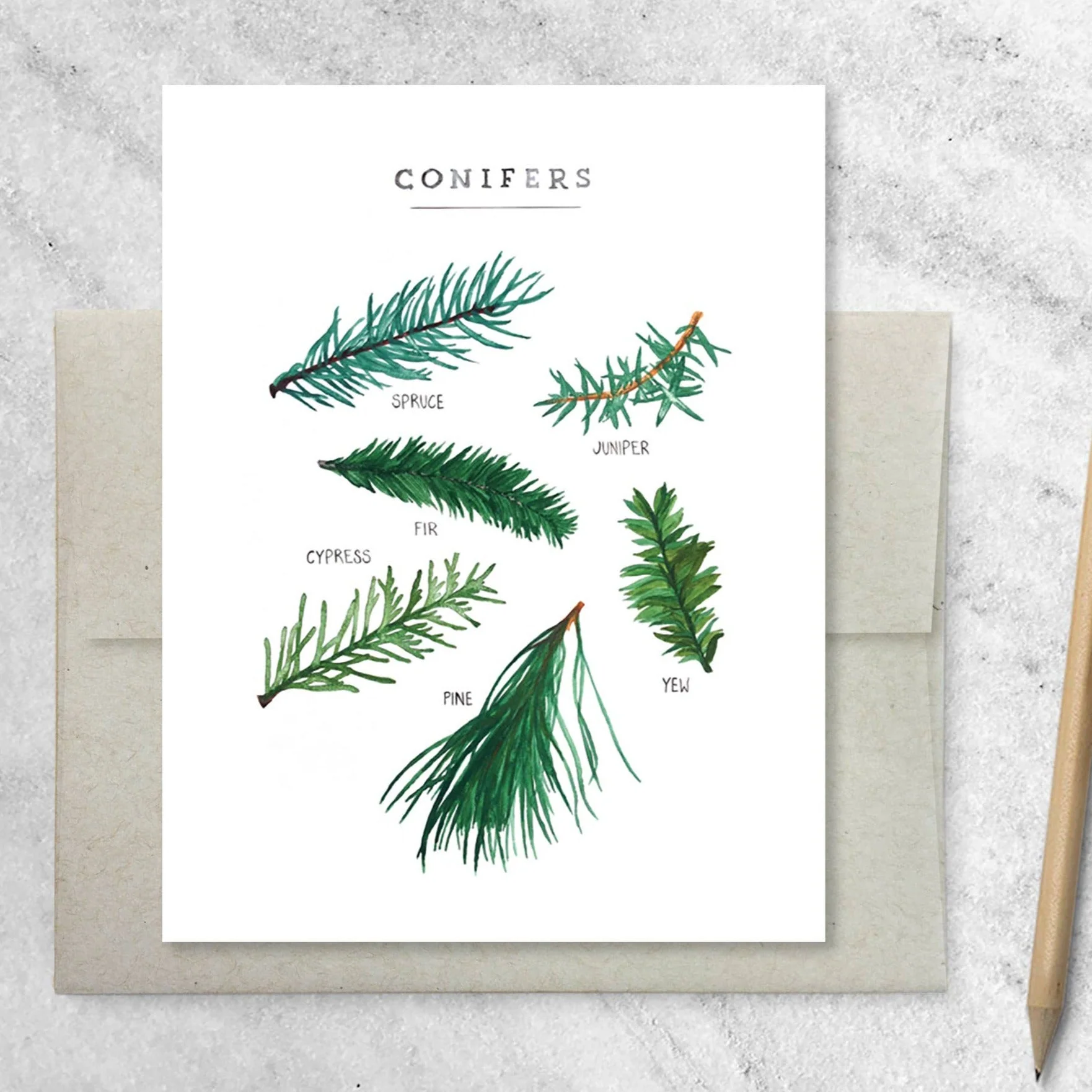 Evergreen Card