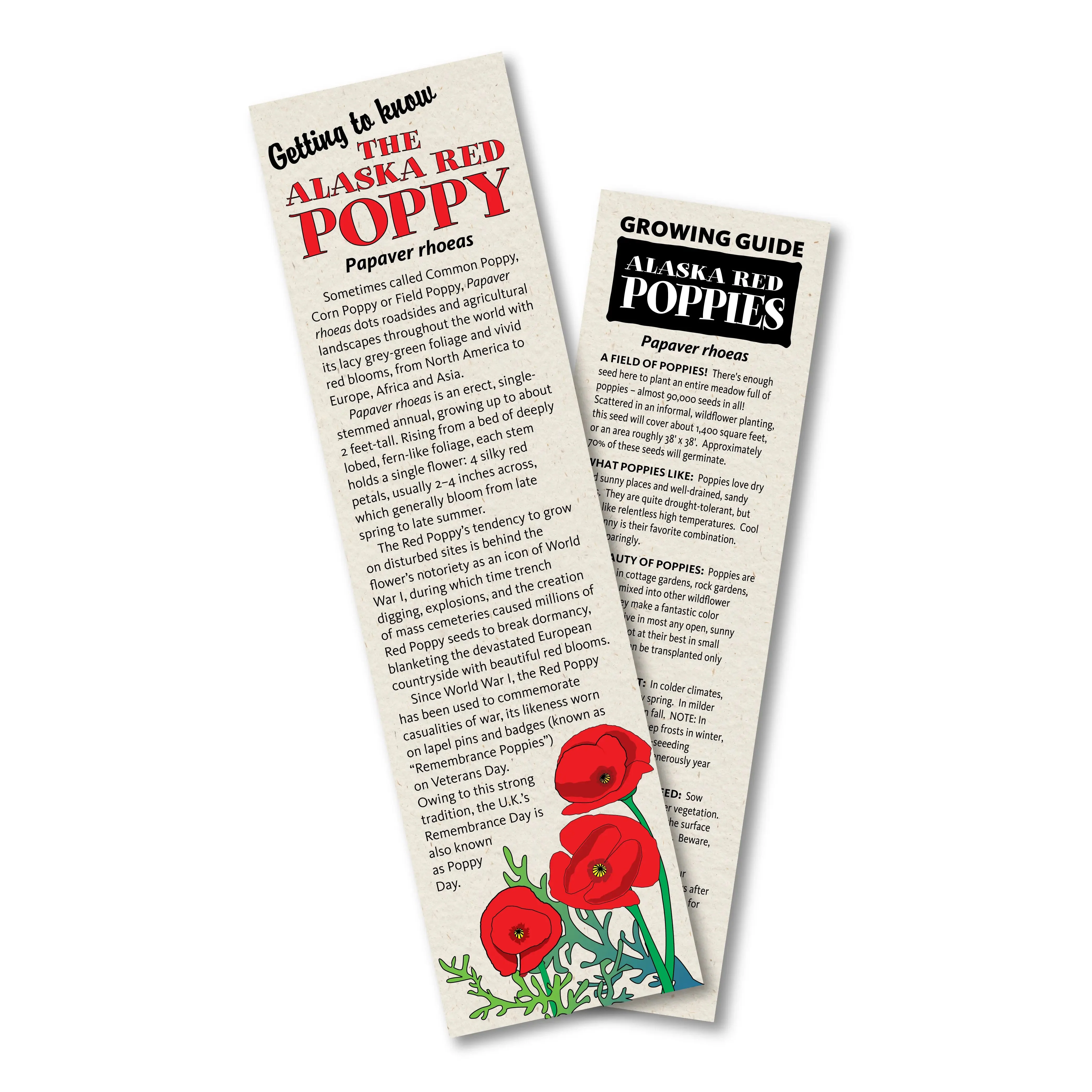 Flower Seed Grow Kit: Alaska Red Poppy - Image 2