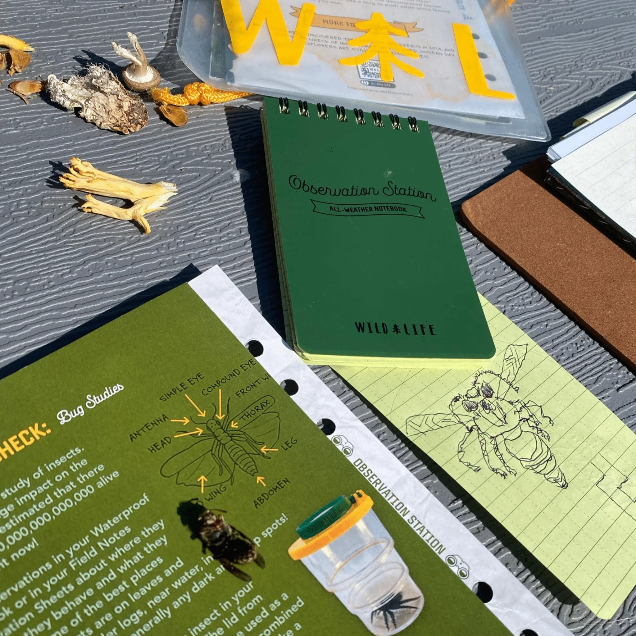All-Weather Notebook 2-Pack - Image 5