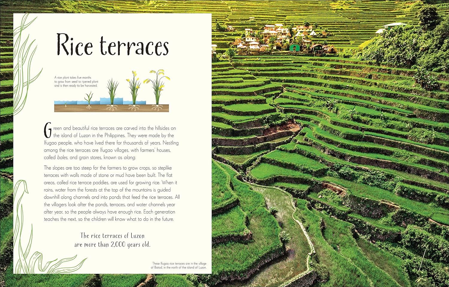 An Anthology of Our Extraordinary Earth - Image 7