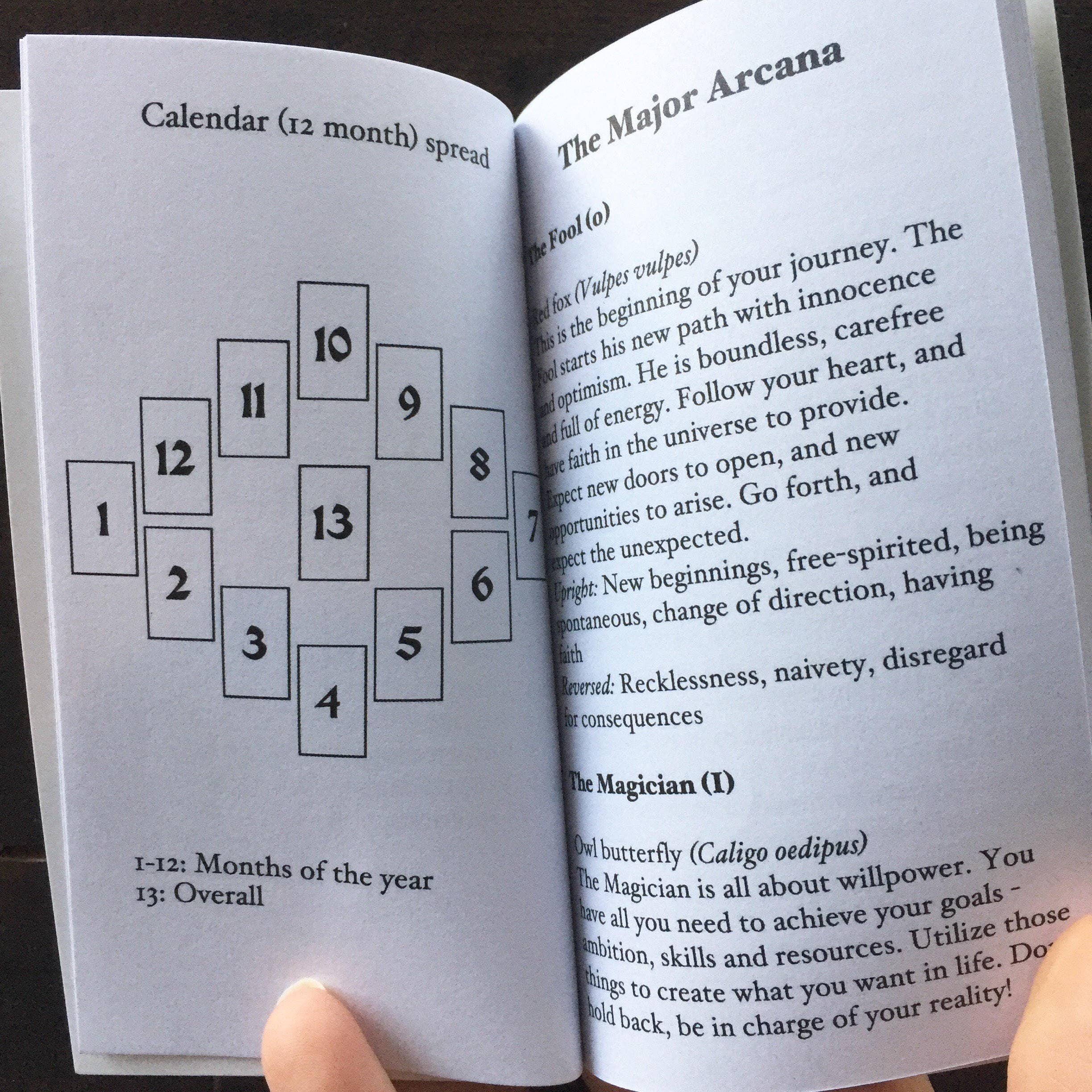 Anima Mundi Tarot Deck - Image 5