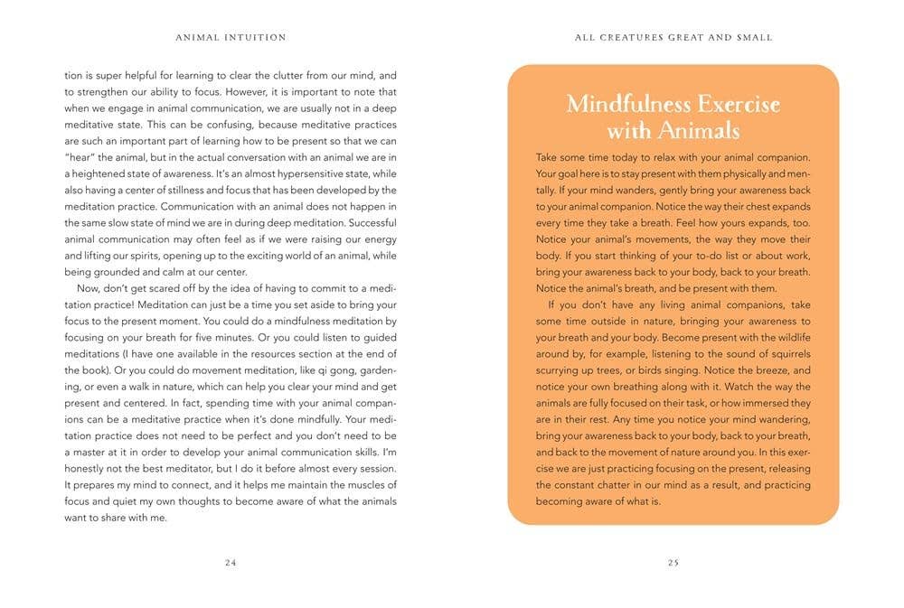Animal Intuition: Communicating with Pets, Spirits & Energy - Image 3