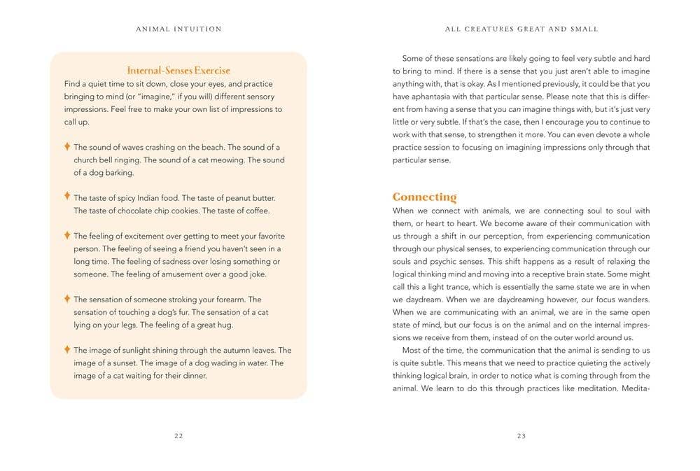 Animal Intuition: Communicating with Pets, Spirits & Energy - Image 5