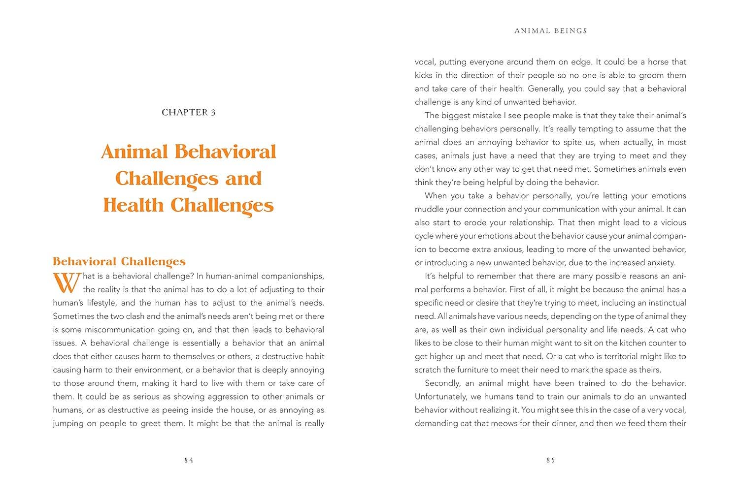 Animal Intuition: Communicating with Pets, Spirits & Energy - Image 6