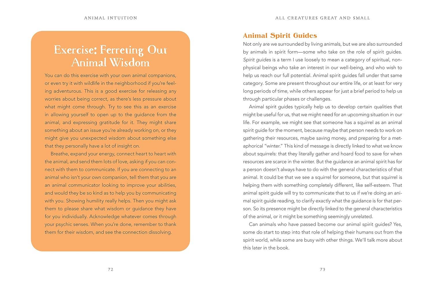 Animal Intuition: Communicating with Pets, Spirits & Energy - Image 7