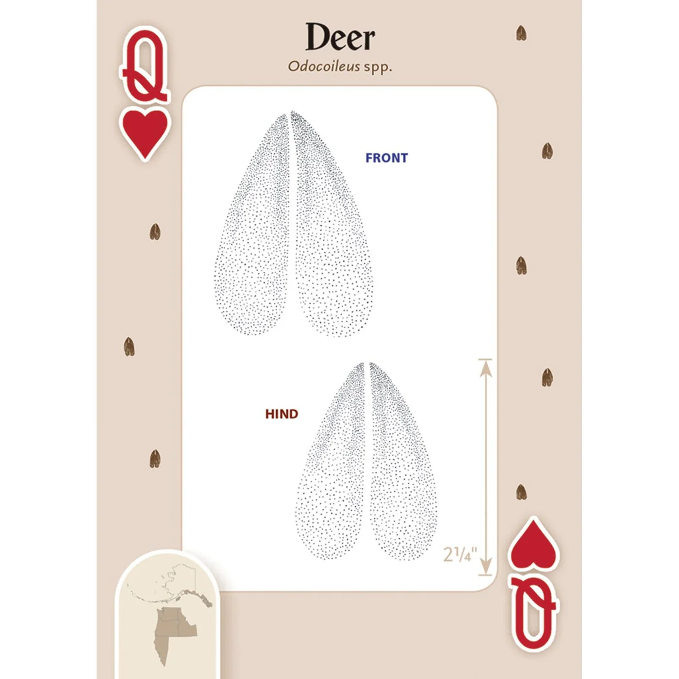 Animal Tracks of Northwest Playing Cards - Image 2