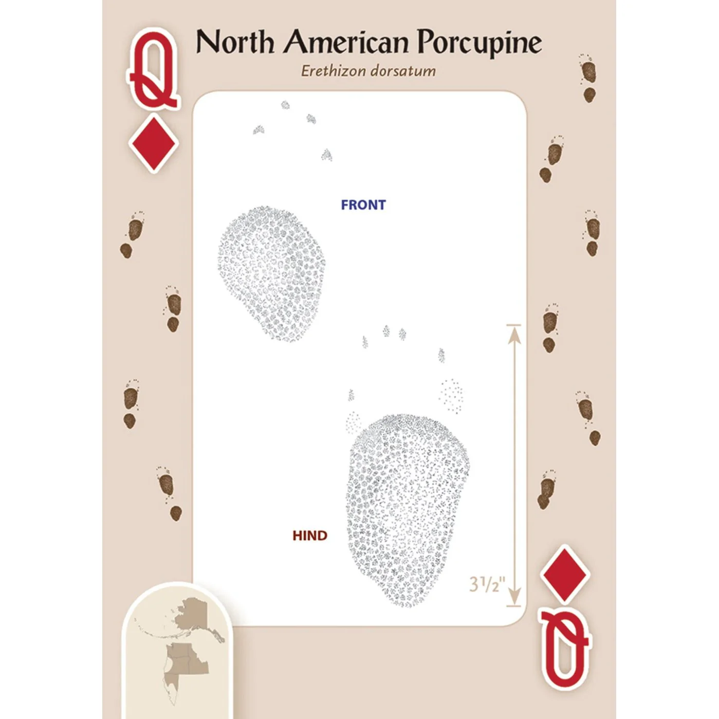 Animal Tracks of Northwest Playing Cards - Image 3
