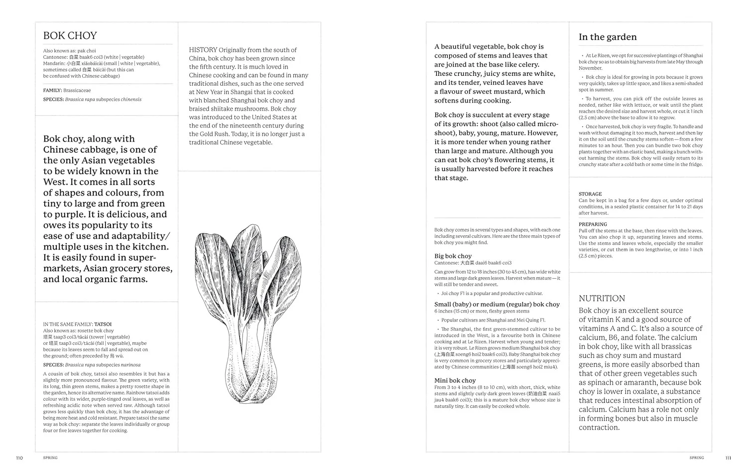 Asian Vegetables: Gardening. Cooking. Storytelling. - Image 3