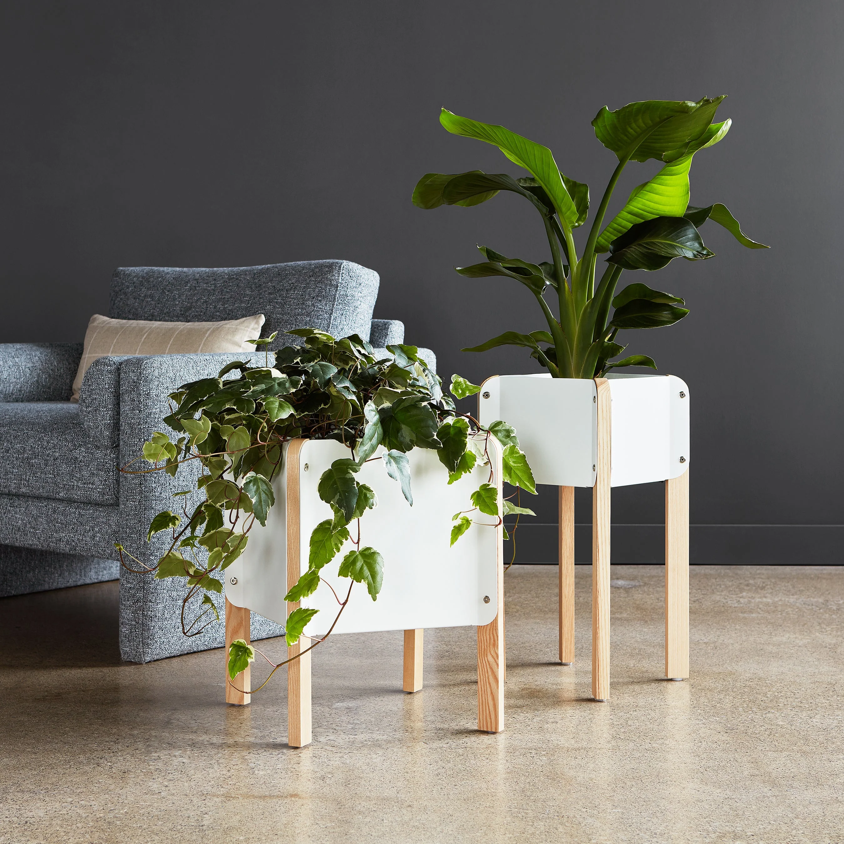 Atrium Planter - Image 3