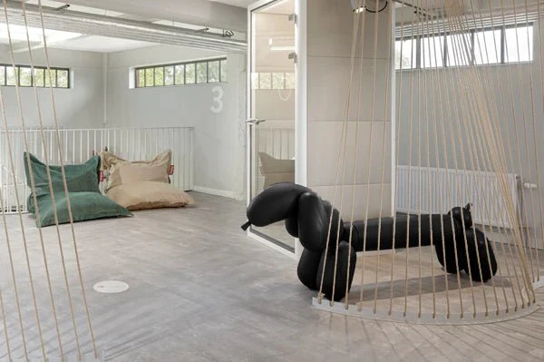 Attackle Bench - Image 4