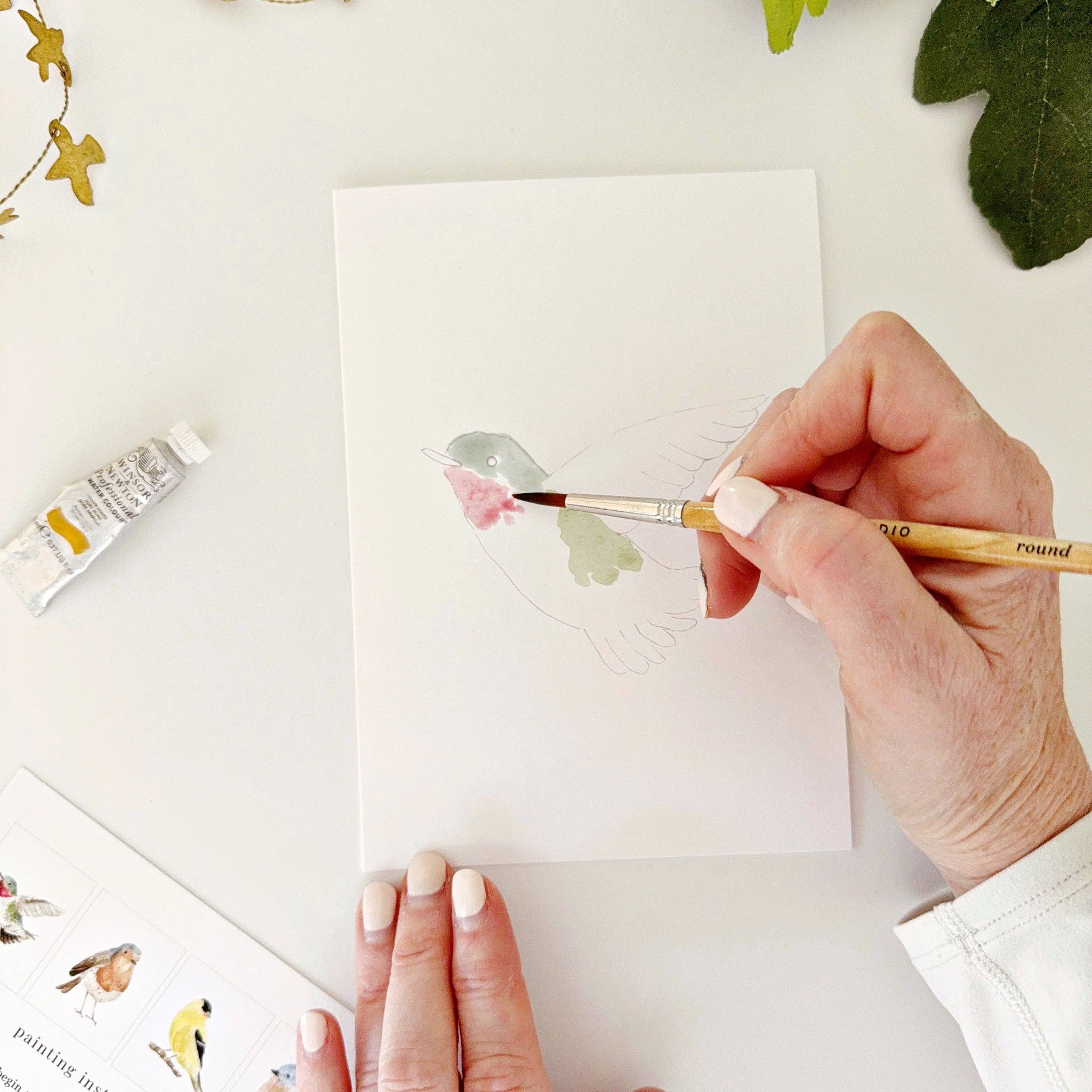 Backyard Birds Paintable Notecards - Image 6