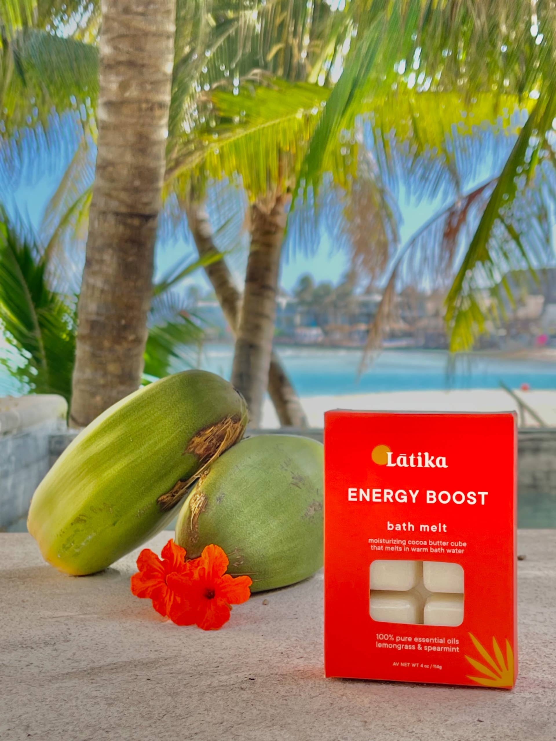 Bath & Body Melt: Energy Boost - Image 6