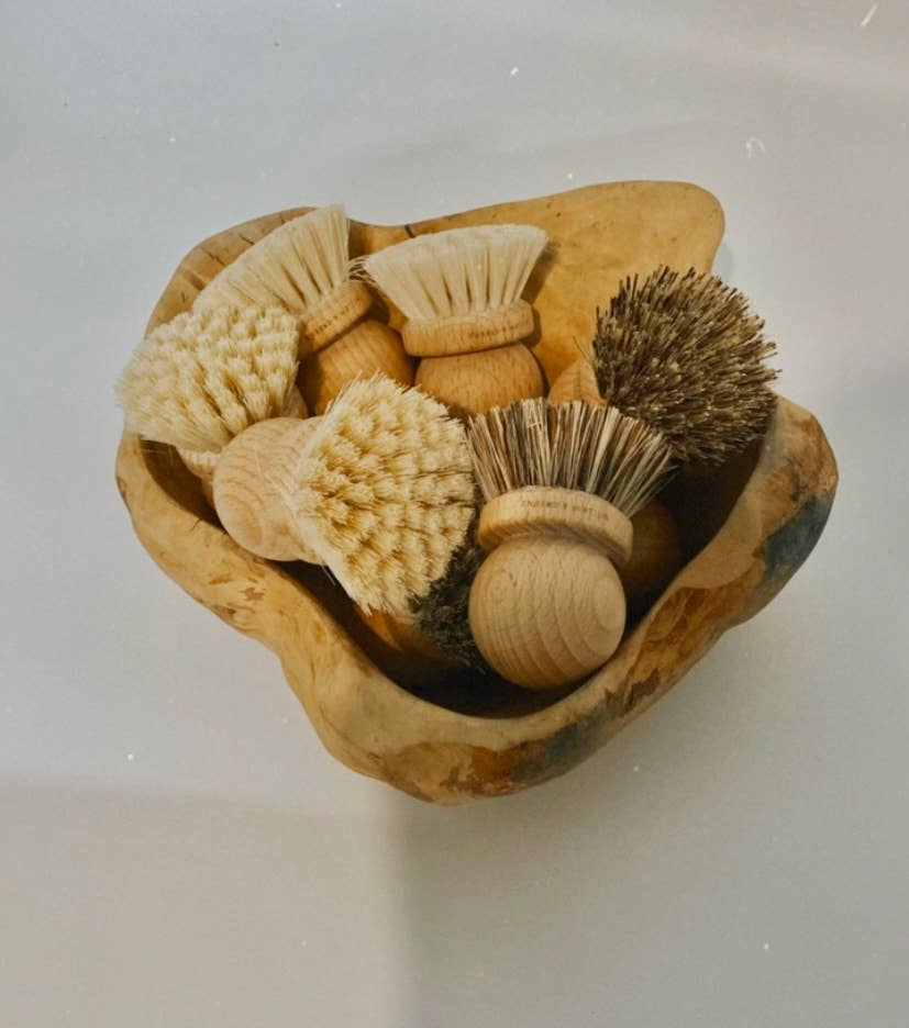 Beechwood Dish Brush - Image 2