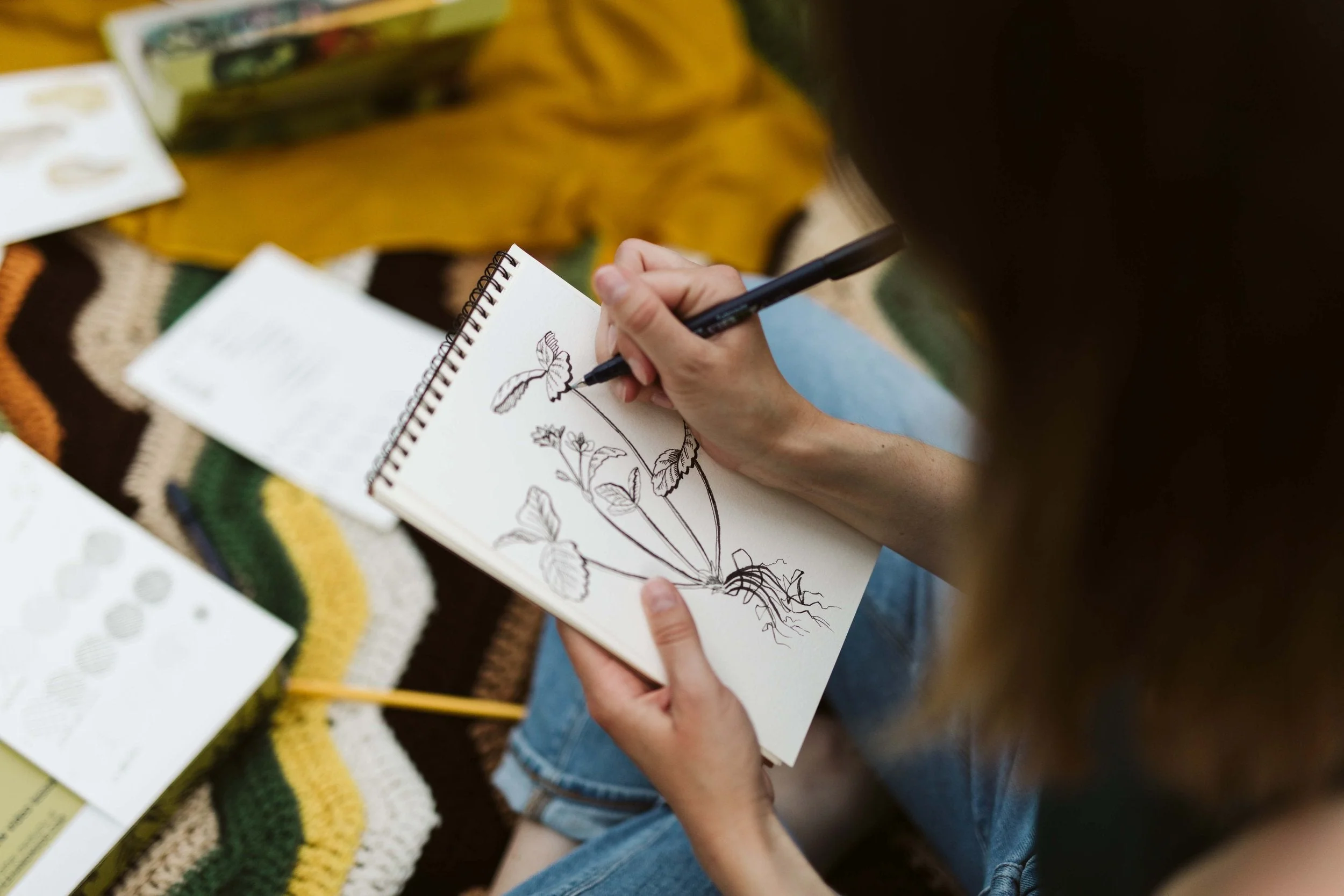 Botanical Drawing Art Kit - Image 3