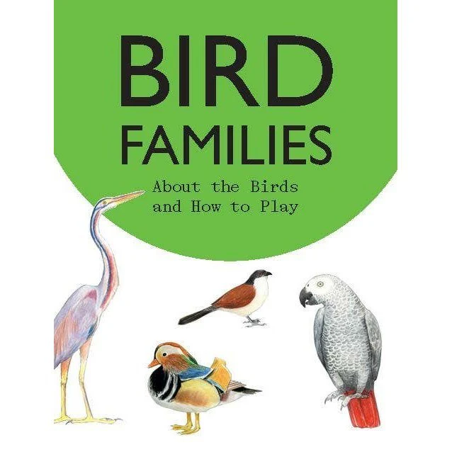 Bird Families Game - Image 2