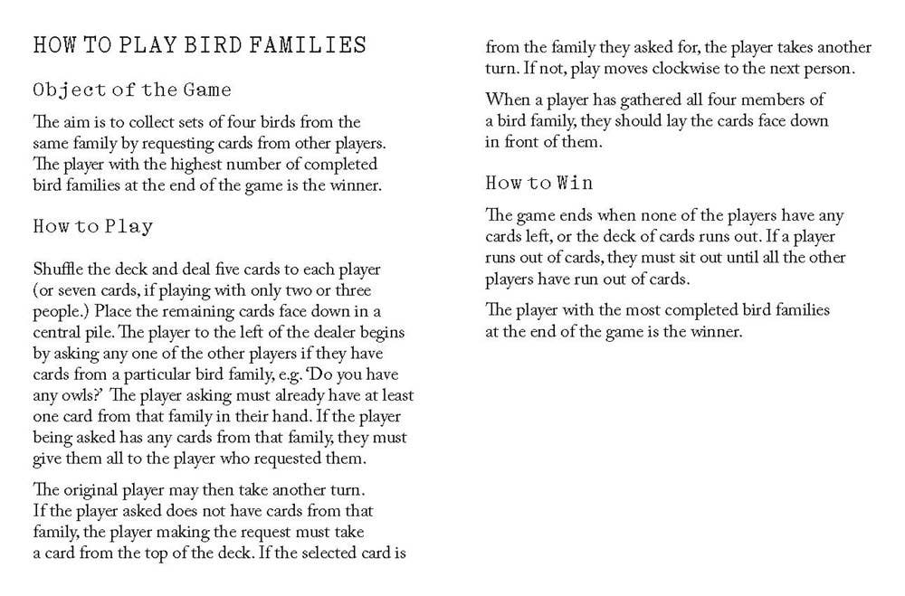 Bird Families Game - Image 3