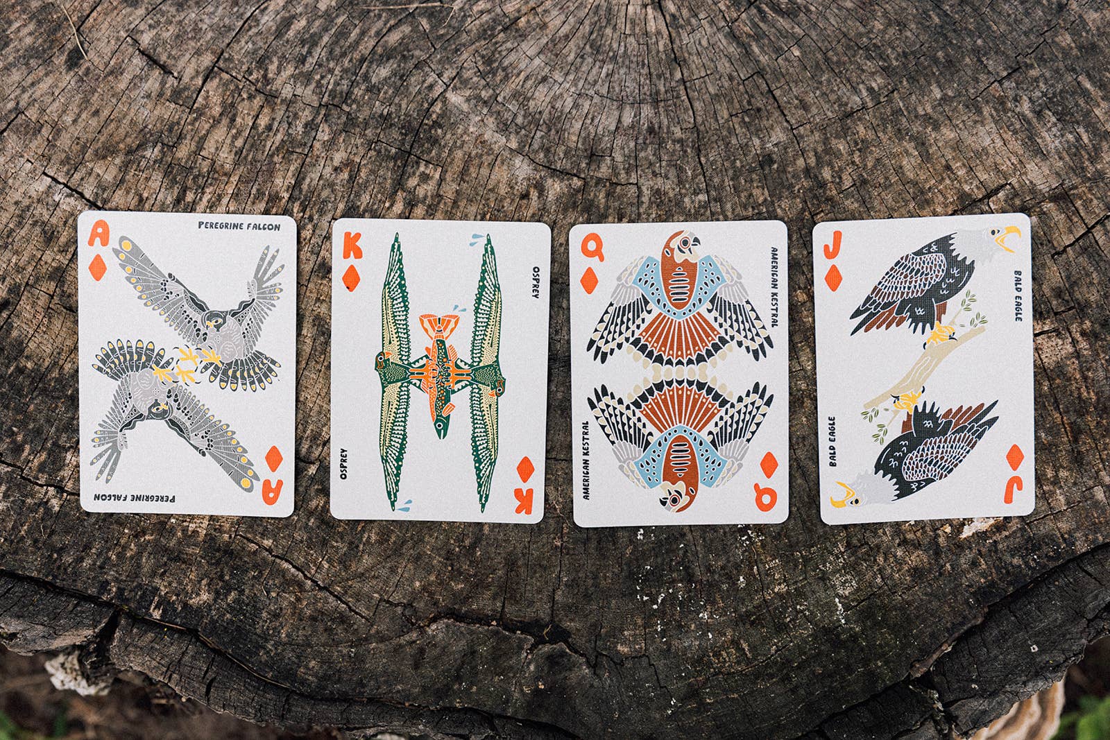 Bird Nerd Playing Cards - Image 4