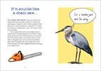 Bird Talk: Hilariously Accurate Ways to Identify Birds - Image 2