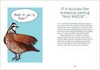 Bird Talk: Hilariously Accurate Ways to Identify Birds - Image 5