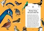 Bird Talk: Hilariously Accurate Ways to Identify Birds - Image 6