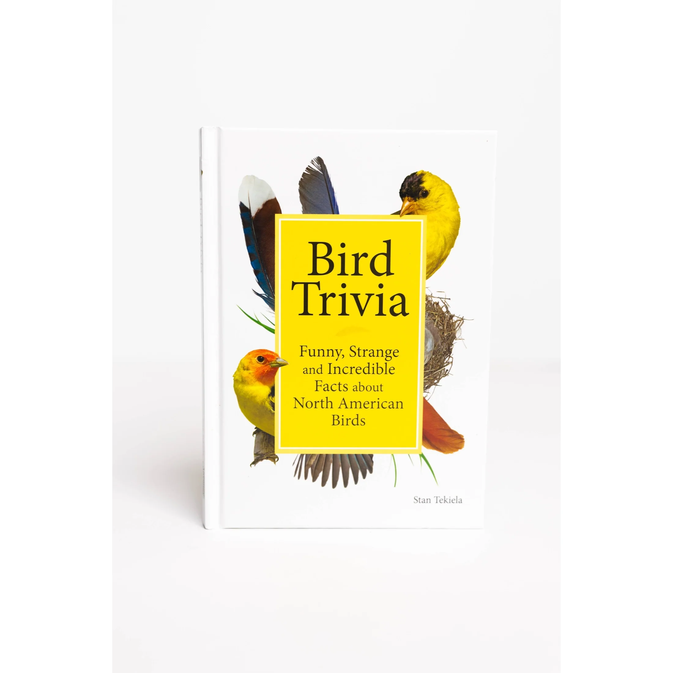 Bird Trivia - Image 2
