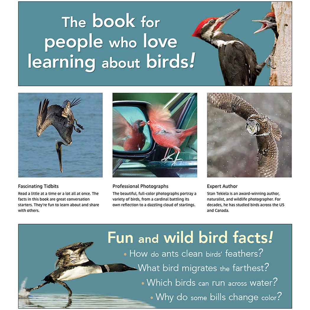 Bird Trivia - Image 5