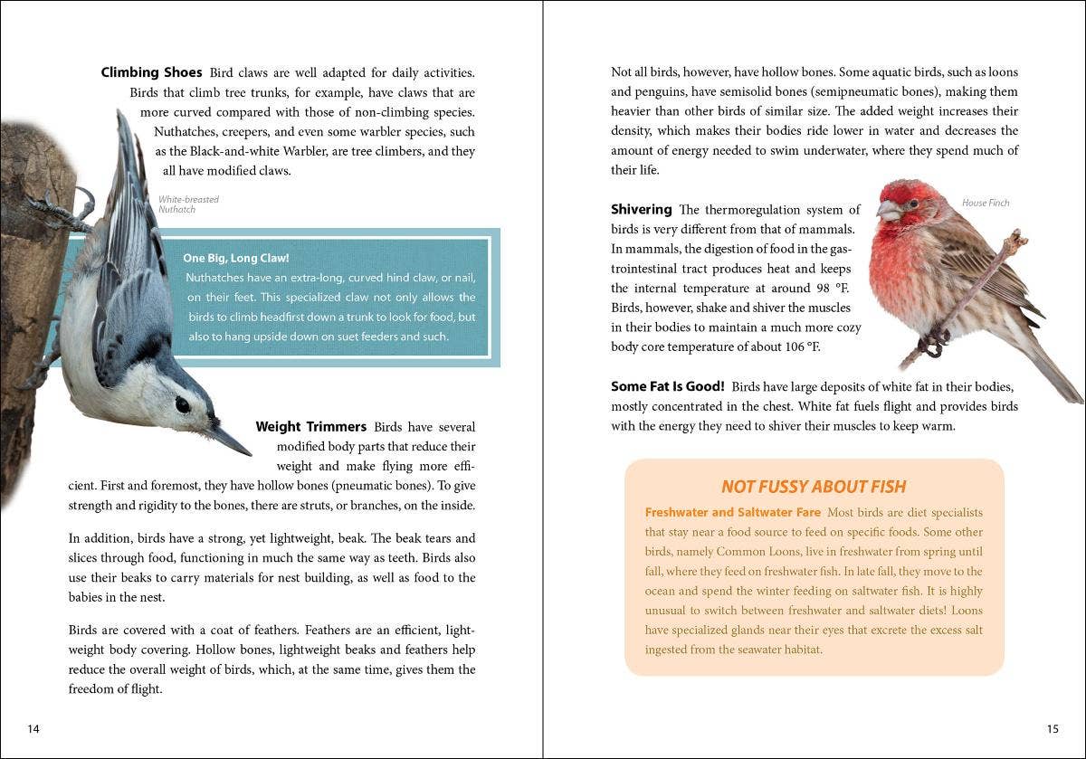 Bird Trivia - Image 7