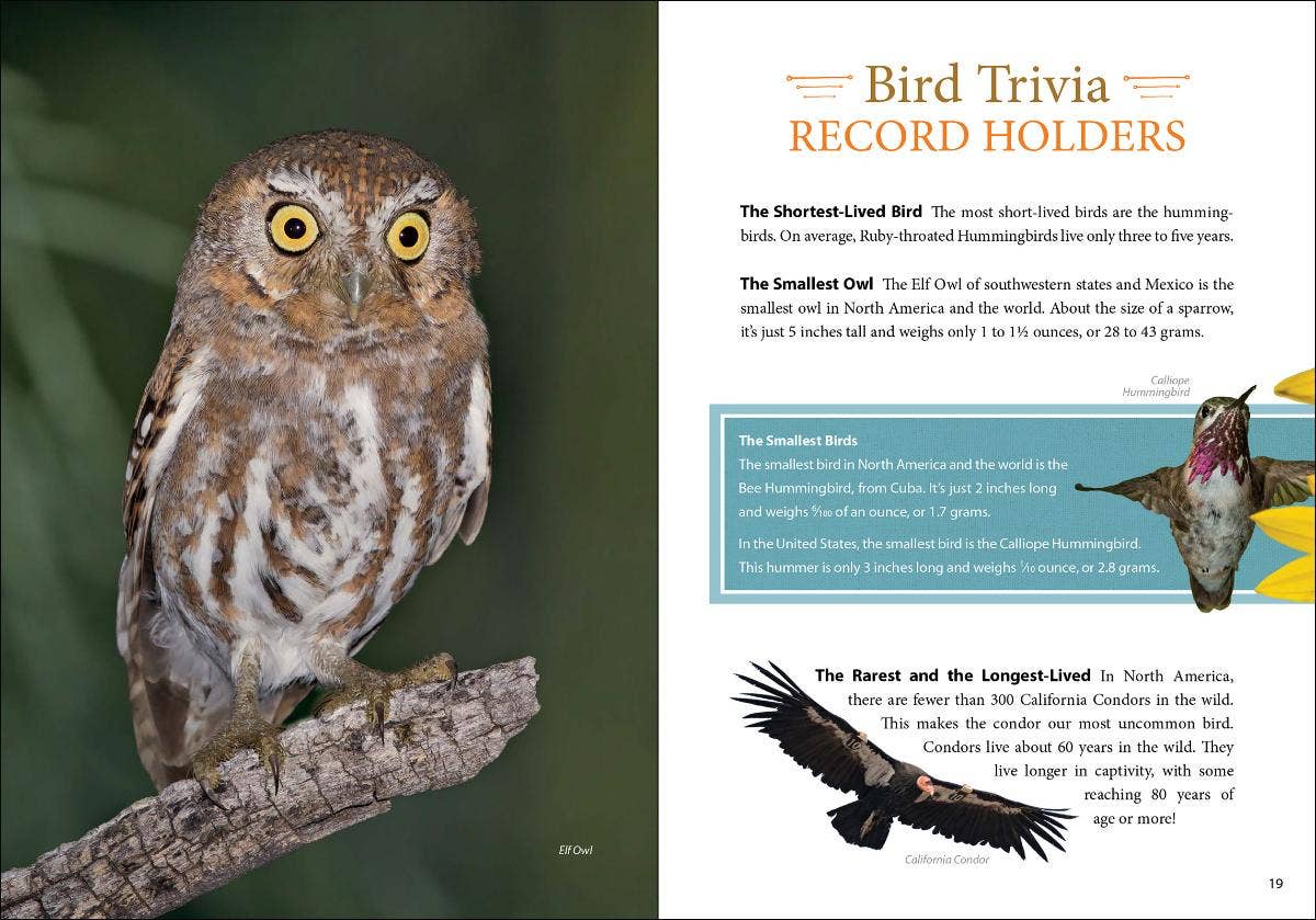 Bird Trivia - Image 9