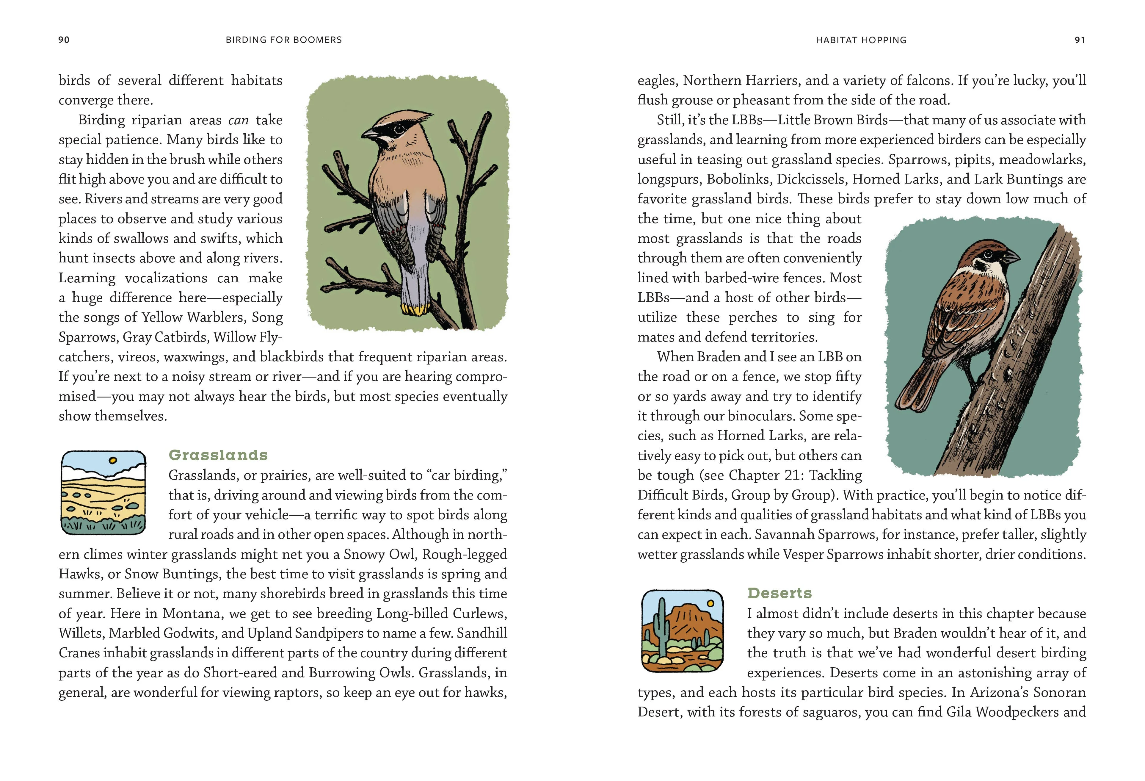 Birding for Boomers - Image 5