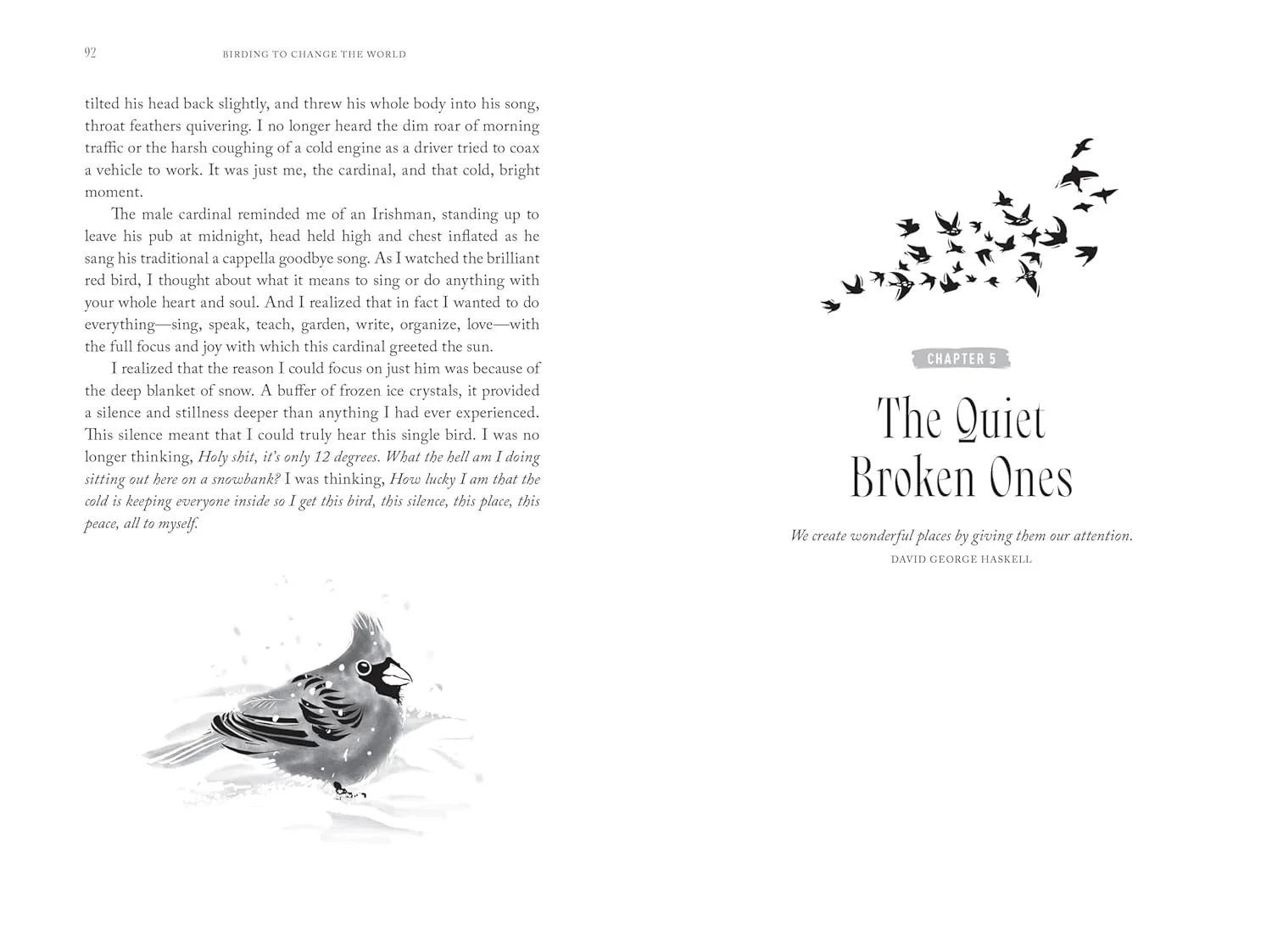 Birding to Change the World: A Memoir - Image 2