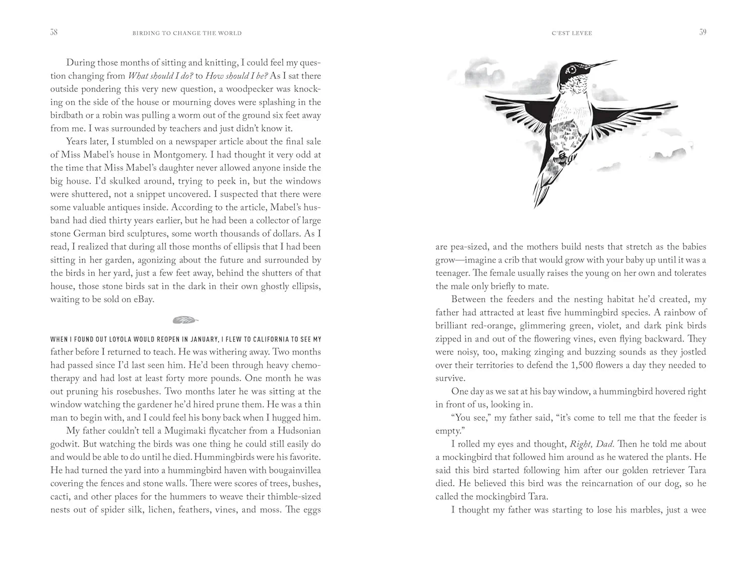 Birding to Change the World: A Memoir - Image 4