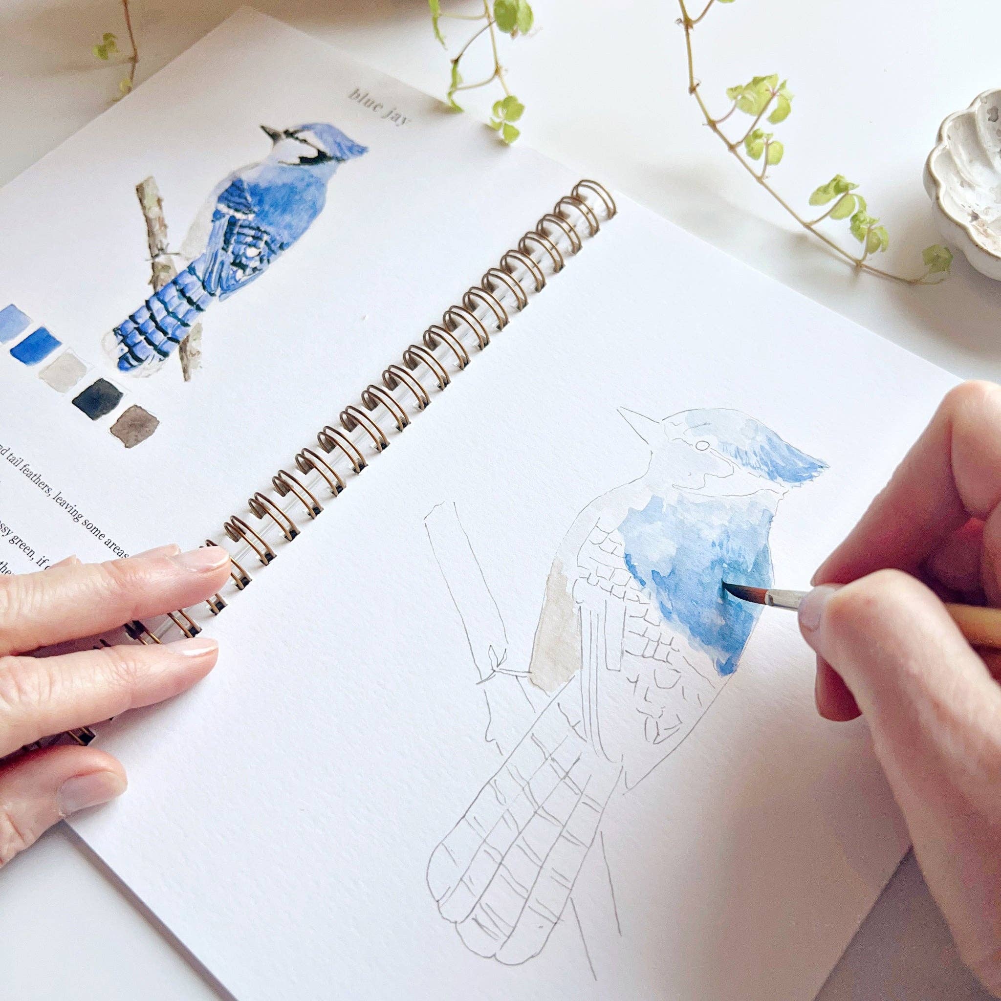 Birds Watercolor Workbook - Image 4