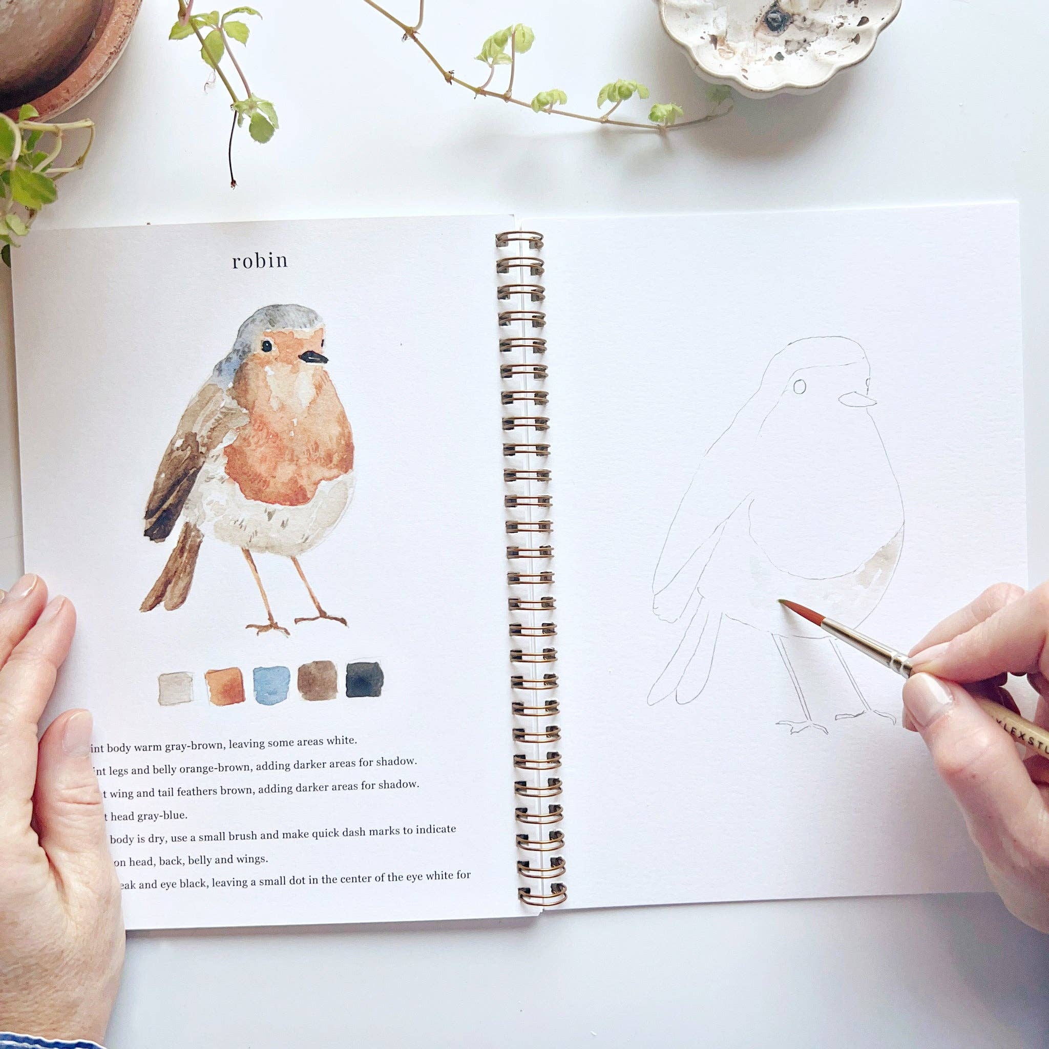 Birds Watercolor Workbook - Image 5