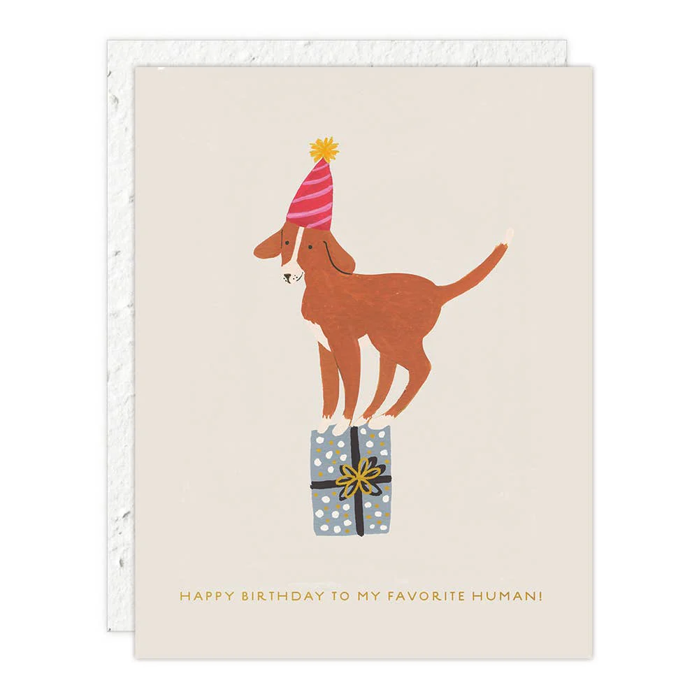 Favorite Human Dog Birthday Card
