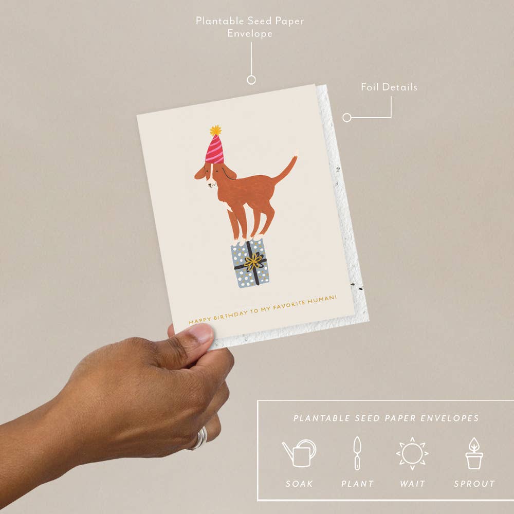 Favorite Human Dog Birthday Card - Image 3