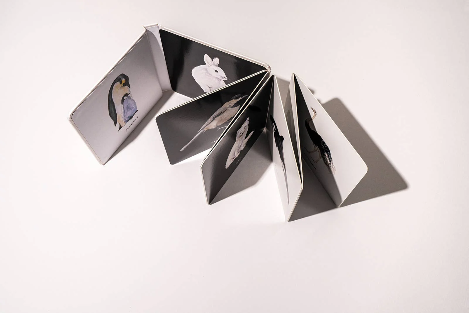 Black and White Contrast Book for Baby - Image 3