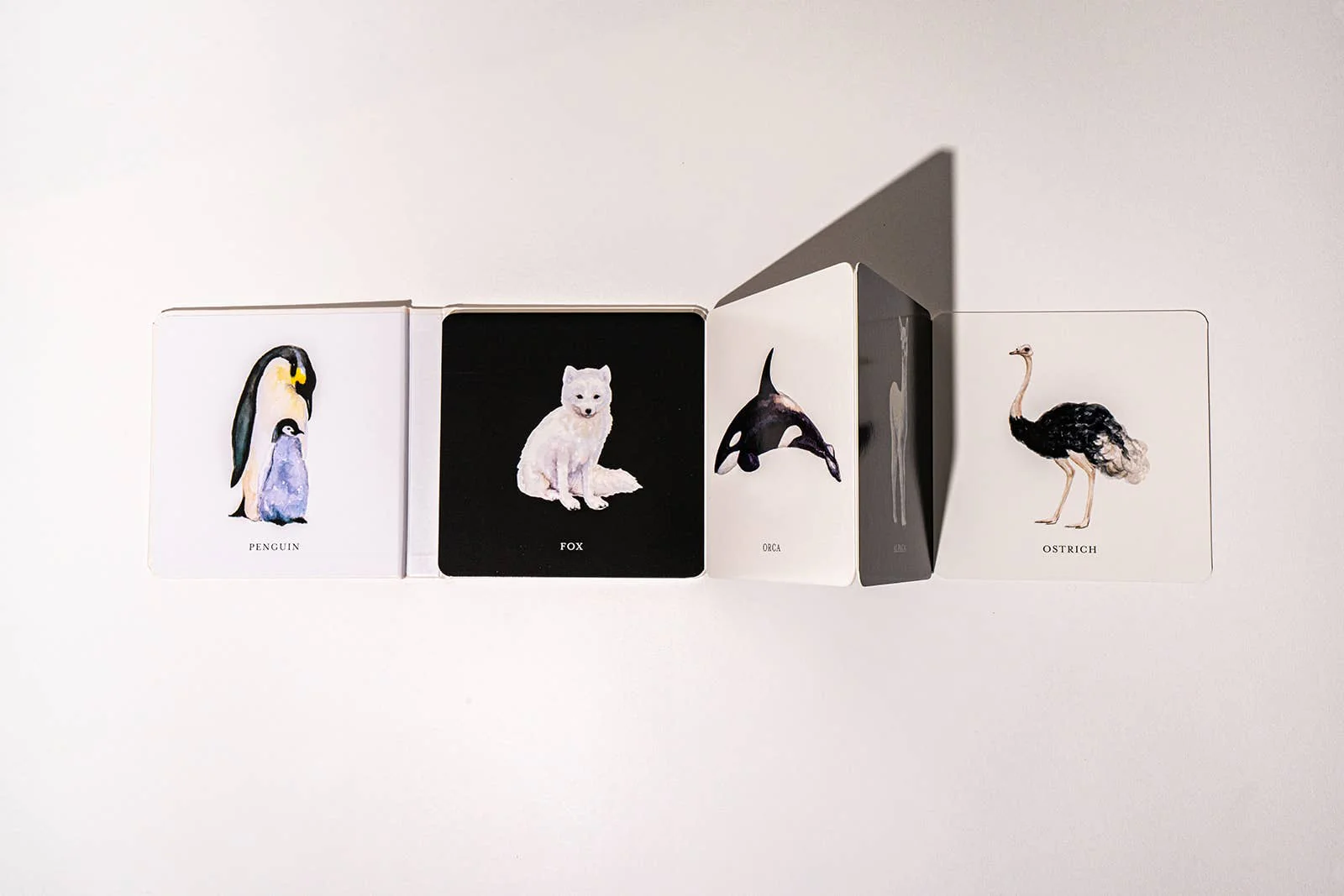 Black and White Contrast Book for Baby - Image 4